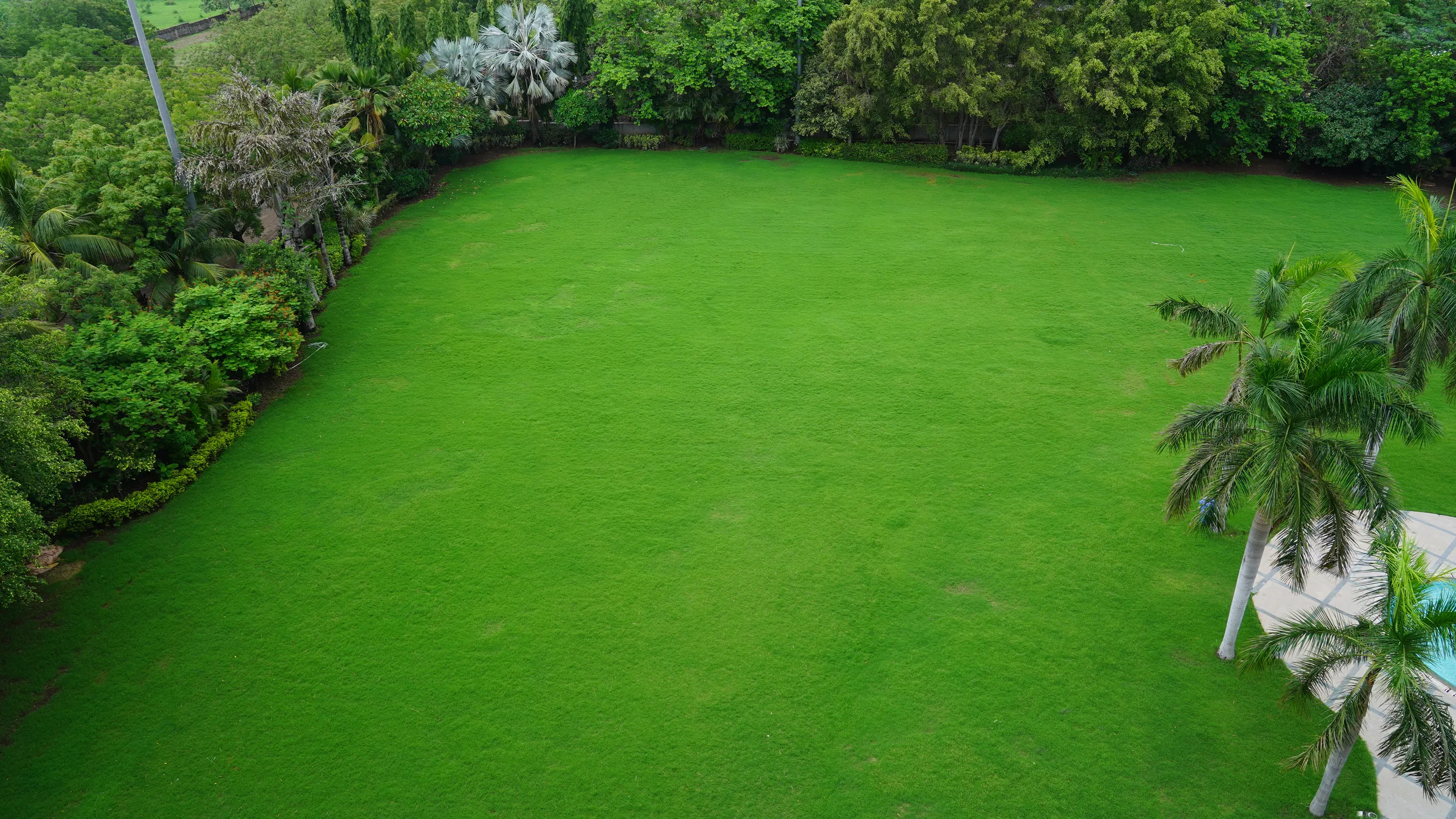 Large 2 well-maintained green lawn surrounded by dense trees at Seasons Hotel Rajkot.